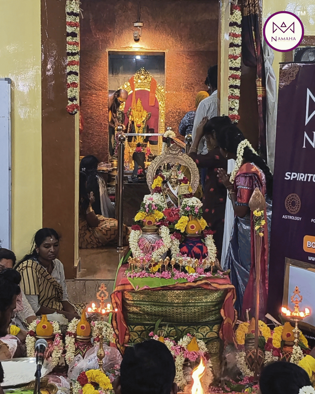 Untitled design (31)