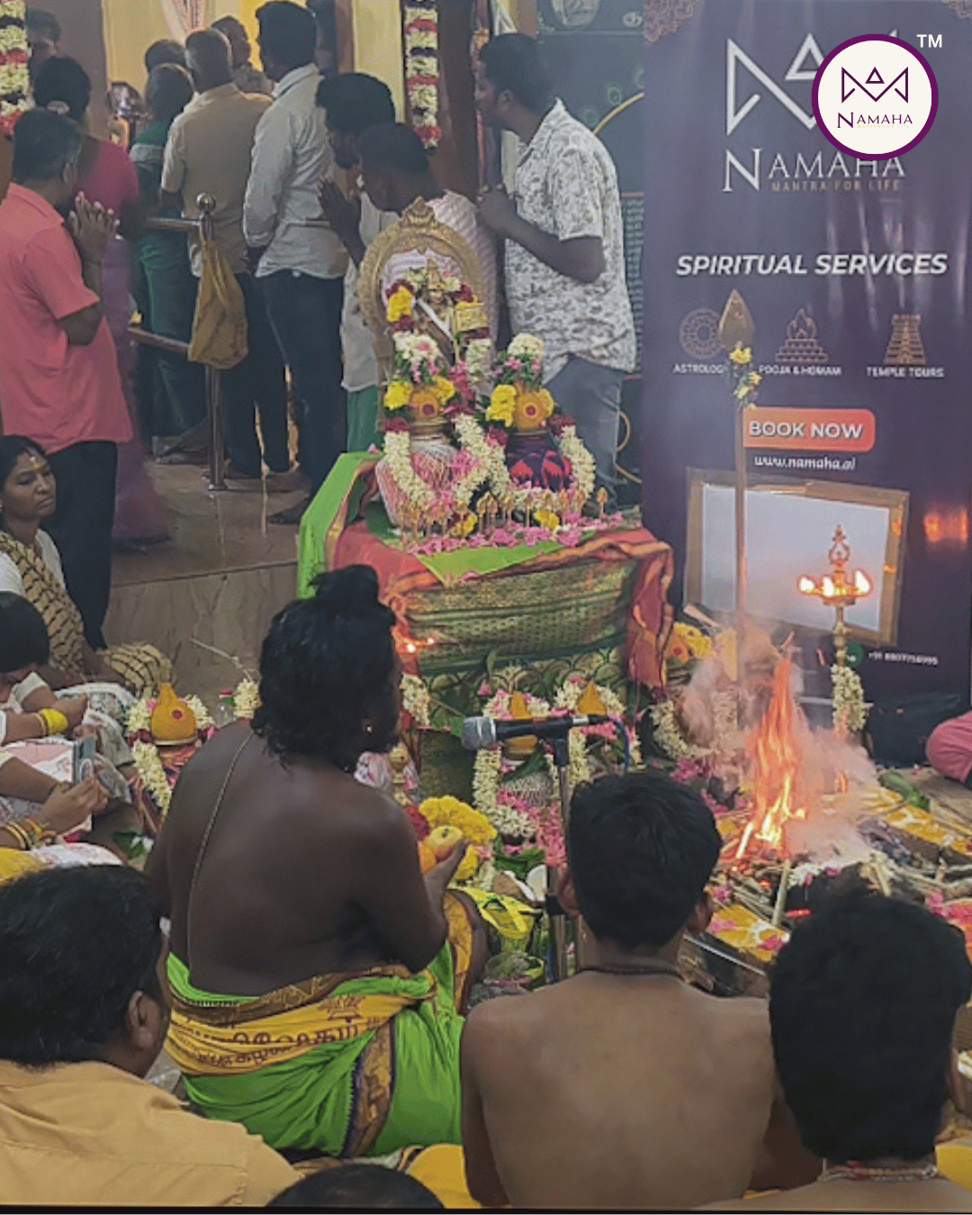 Untitled design (33)